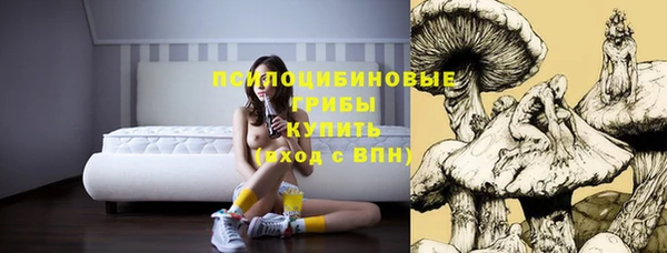 гидра Покачи