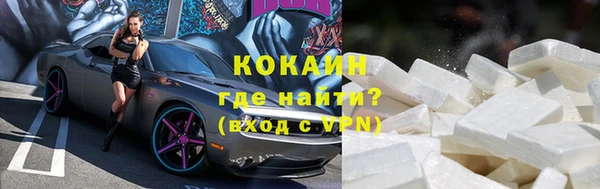 тгк Абаза