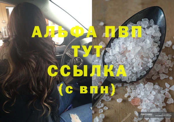 гидра Покачи
