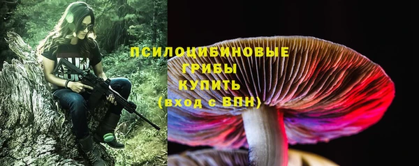 ГАЛЛЮЦИНОГЕННЫЕ ГРИБЫ Абдулино