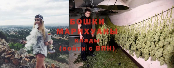 ГАЛЛЮЦИНОГЕННЫЕ ГРИБЫ Абдулино