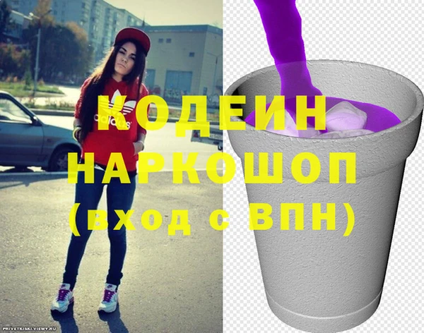 гидра Покачи