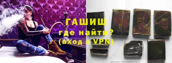 гидра Покачи
