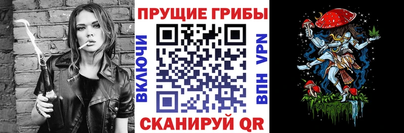 закладки  ОМГ ОМГ рабочий сайт  Псилоцибиновые грибы GOLDEN TEACHER  Тайга 